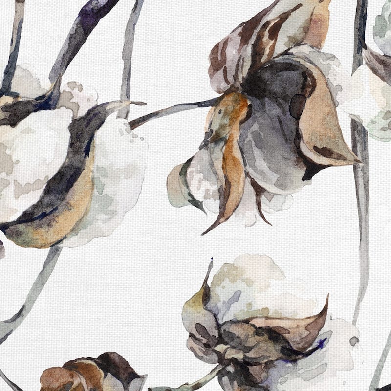 Cotton Blossoms by Belle Maison Canvas Art Print