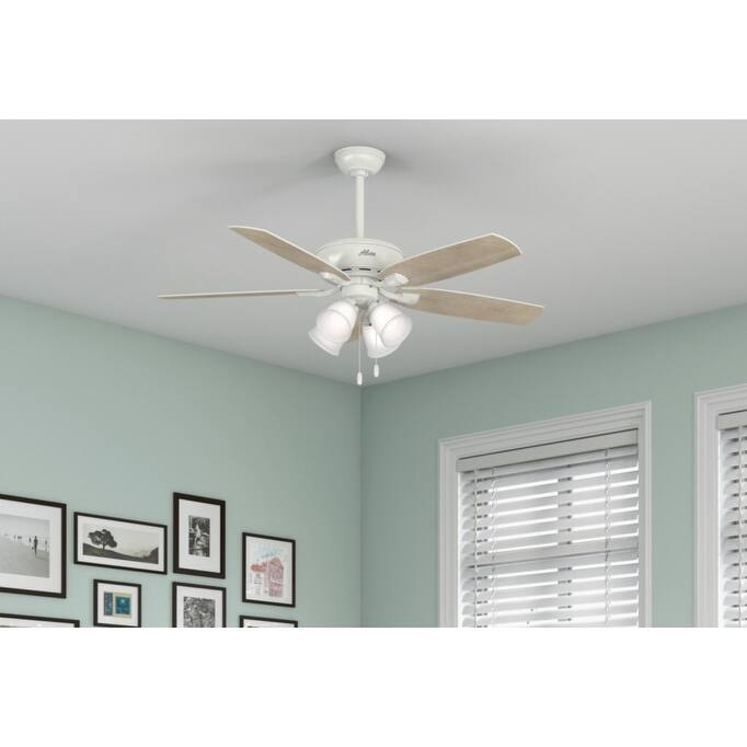 Hunter 52' Amberlin Ceiling Fan with LED Light Kit, Pull Chains - Farmhouse, Transitional, Rustic