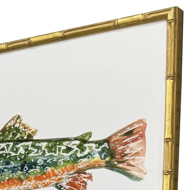 Paragon Colorful Trout Framed Art - Set of 4