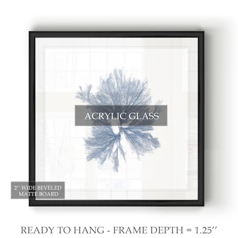 Navy Seaweed III -Black Framed Print