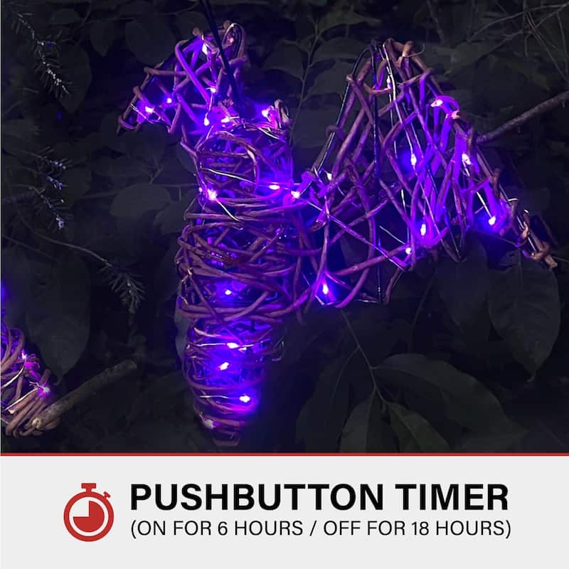 Haunted Hill Farm Set of 3 Battery-Operated Rattan Bats with Hanging Loops, Purple Lights, and Timer
