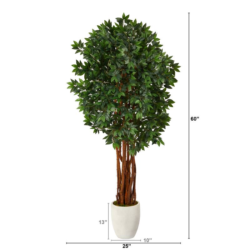 Artificial Lychee Tree 6ft Southwestern Decor White Planter Indoor Outdoor Plant - Green - 61 Inches and Over