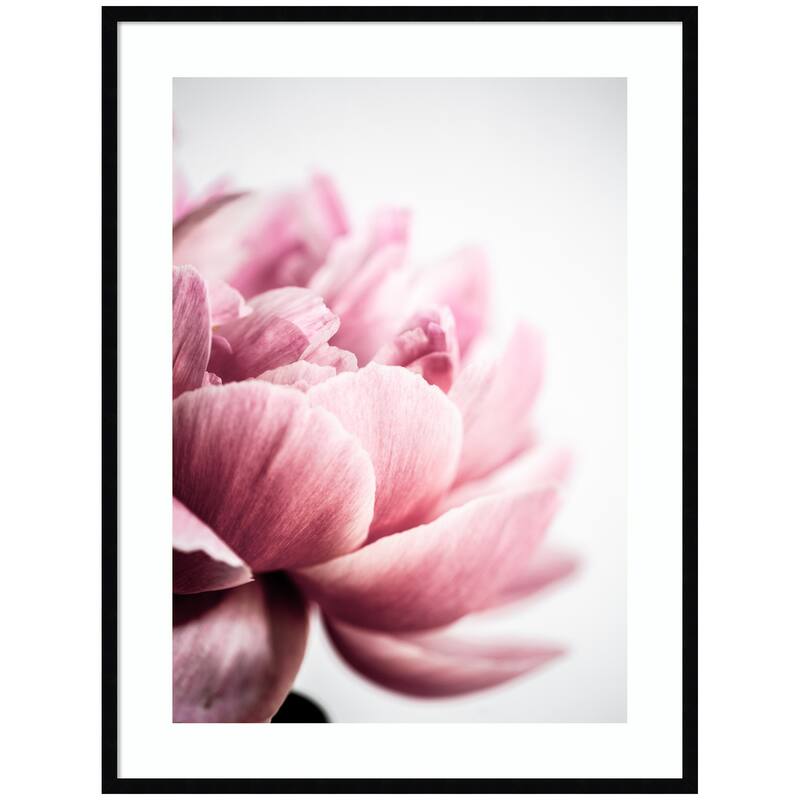 Kate and Laurel Pink Peony No1 by Mareike Bohmer Framed Wall Art Print - 31 x 41 - Black