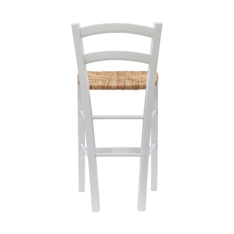 Cloney Counter Stool (Set of 2)
