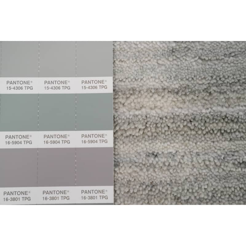 Hand Knotted Oriental Viscose Silk Carpet Tribal Animal Pictorial Greys & Charcoal Gabbeh Area Rug - 11' 8'' X 5' 4''