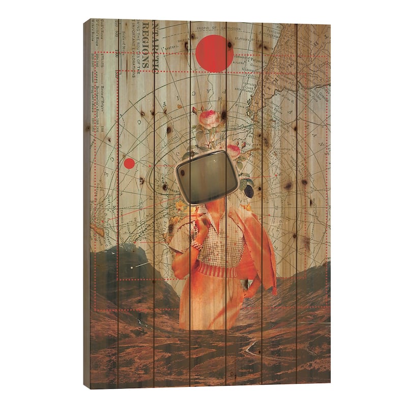 Antarctic Broadcast Print On Wood by Frank Moth - Multi-Color - 40x26x1.5