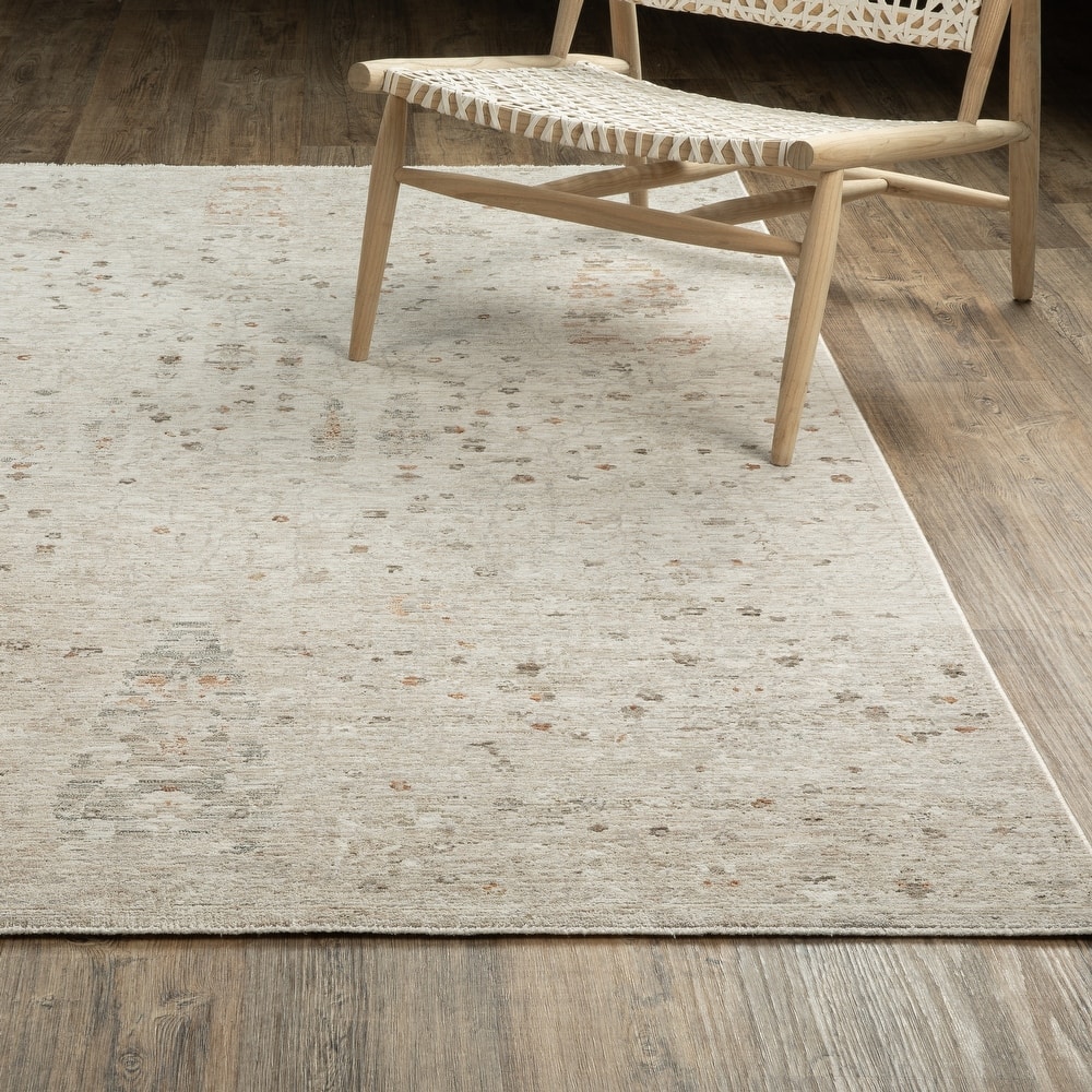 Amira Distressed Traditional Ivory/ Beige Area Rug-