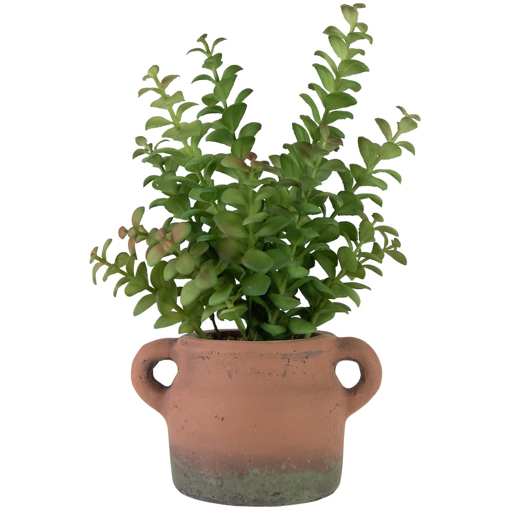 Artificial Privet Plant In Vintage Milk Can Style Earthenware Pot 14"