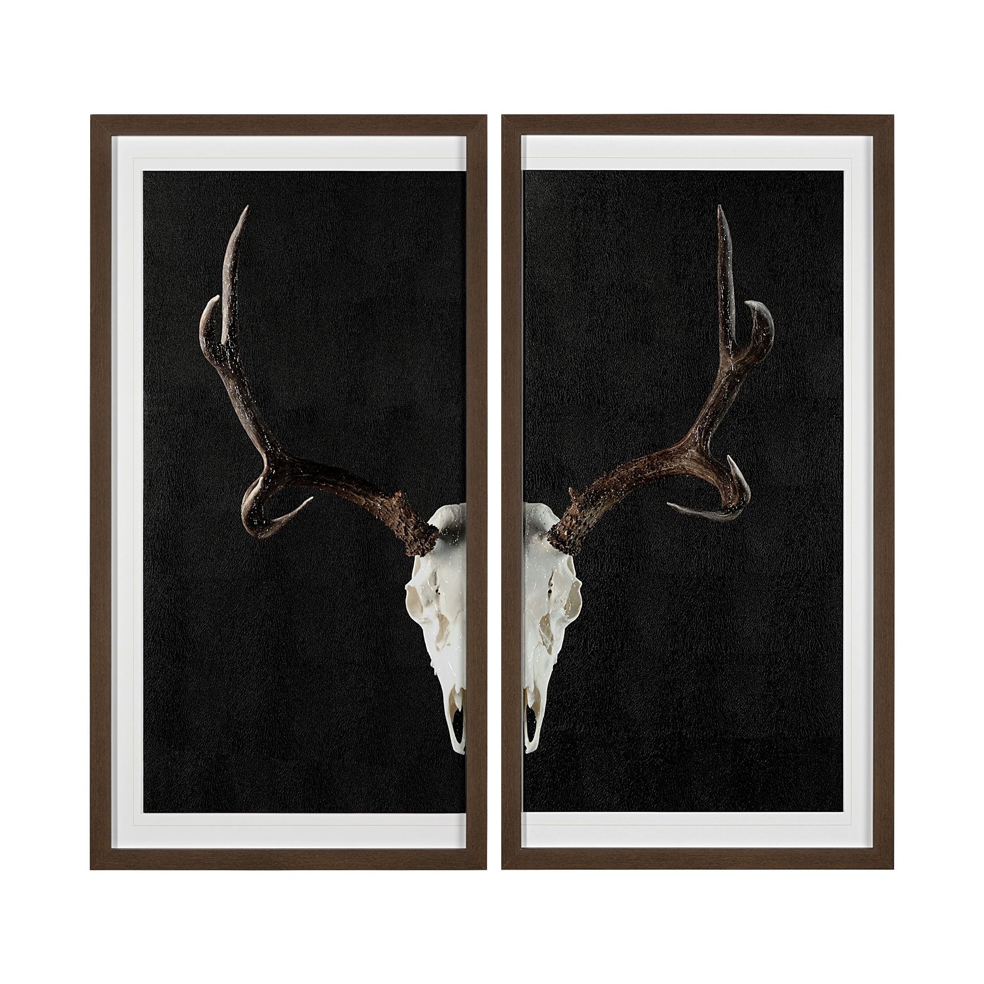 Mercana Deer Skull-L by Chris Dunker a Hand Embellished Textured Framed Art Print Matted under Glass