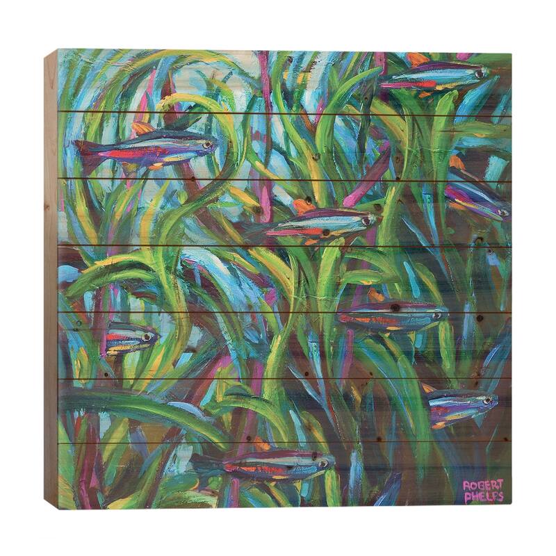 Neon Tetras Print On Wood by Robert Phelps - Multi-Color - 26x26x1.5