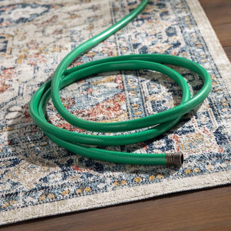 Livabliss Huntington Beach Traditional Indoor/Outdoor Area Rug