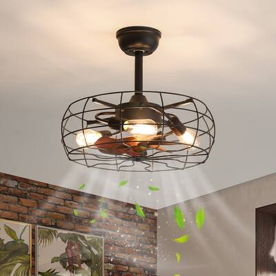 19inch Cage Retro Ceiling Fan with Lights, Remote Control or APP(Bulbs included) - black