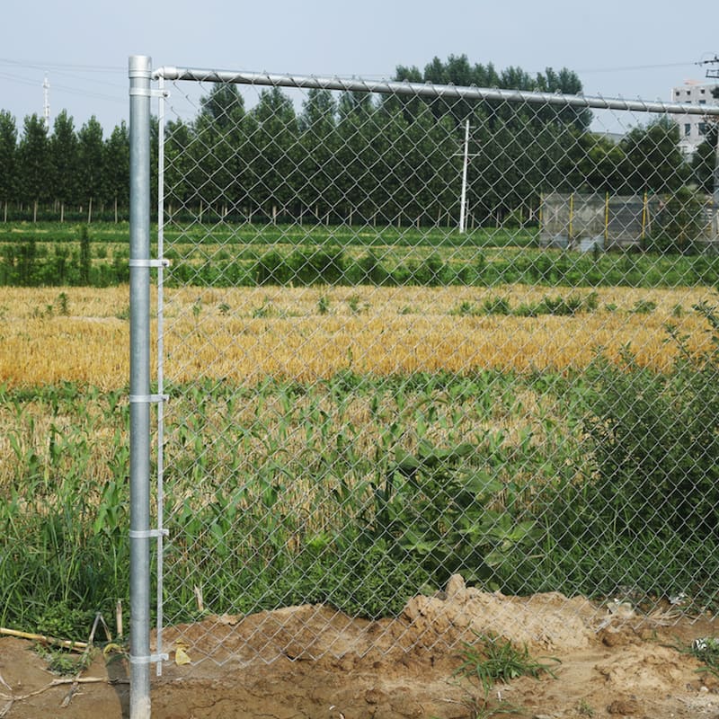 ALEKO Galvanized Steel Chain Link Fence 4X50 Feet Complete Kit