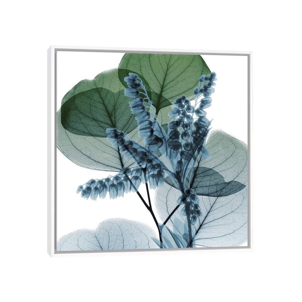 iCanvas "Lilly Of Eucalyptus II" by Albert Koetsier Framed Canvas Print