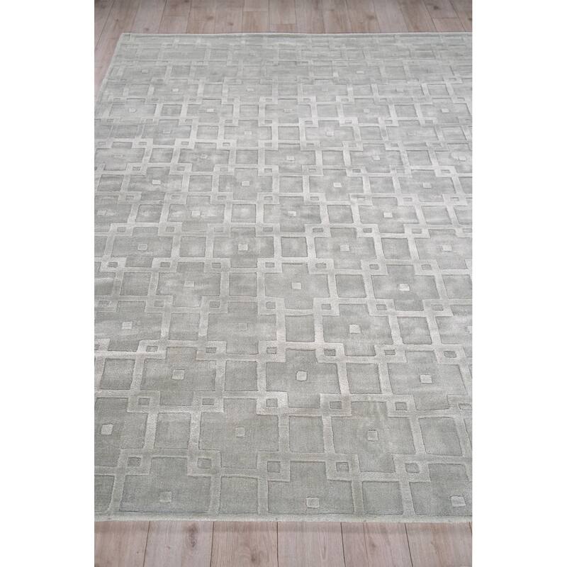 Exquisite Rugs Camora Modern Handmade Handloomed Silky Nylon Light Silver Area Rug