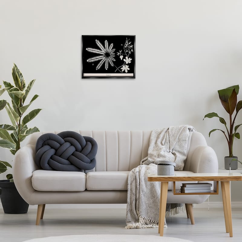 Stupell Ferns & Leaves on Black Framed Floater Canvas Wall Art Design By Phillipa Katz