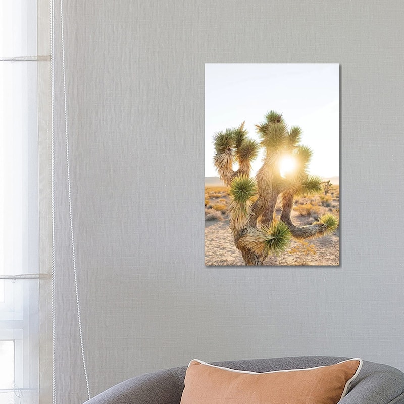 iCanvas "Nevada Desert Sunrise II" by Bethany Young Canvas Print - 26x18x1.5