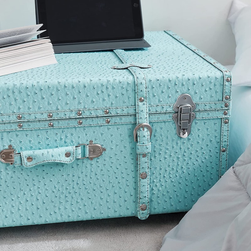Texture® Brand Trunk - Faux Ostrich by DormCo - 29"L x 20"W x 14"H