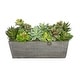 preview thumbnail 1 of 10, Faux Succulent Garden in Wood Washed Ledge Planter Gray