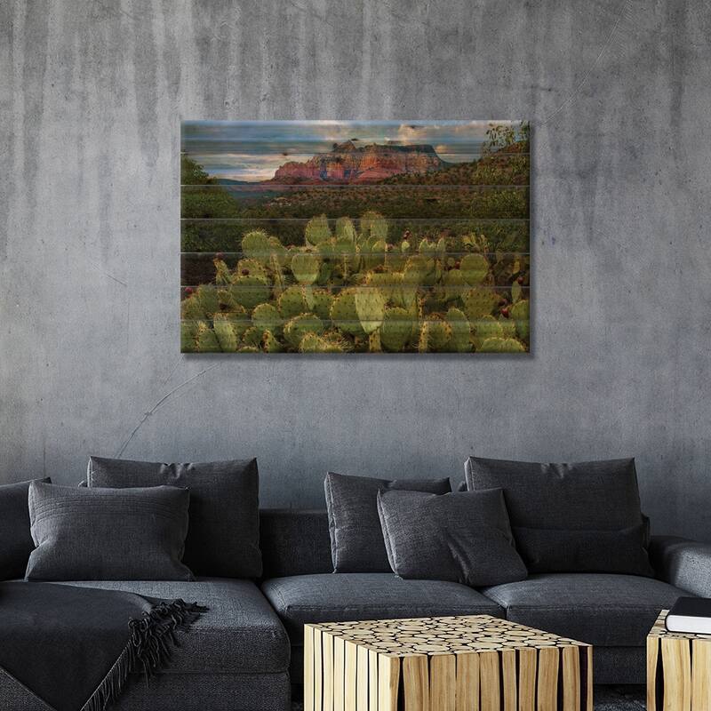Opuntia Cactus And Mountain, Red Rock-Secret Mountain Wilderness, Arizona Print On Wood by Tim Fitzharris - Multi-Color