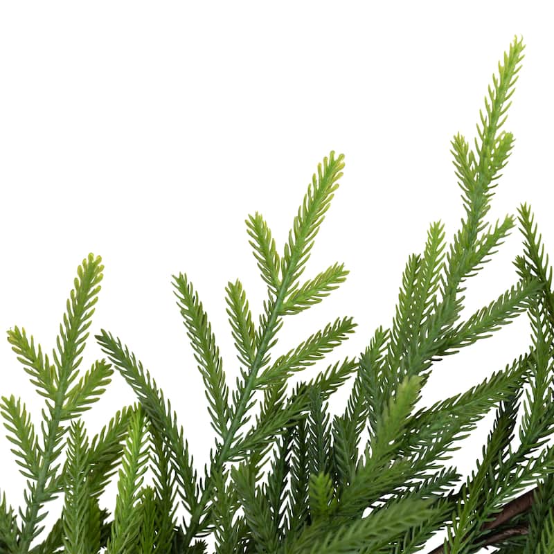 Norfolk Pine Artificial Christmas Garland - 6' x 10" - Unlit