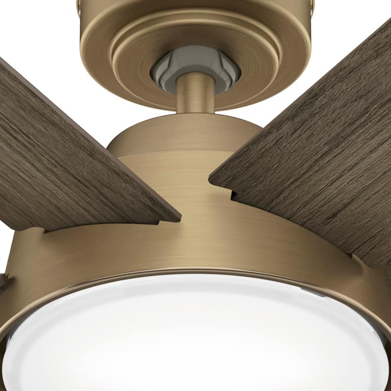 Hunter 52" Donatella Ceiling Fan with LED Light Kit and Handheld Remote - Transitional, Mid-Century, Modern