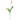 23" Dutch Tulip Artificial Flower (Set of 12)