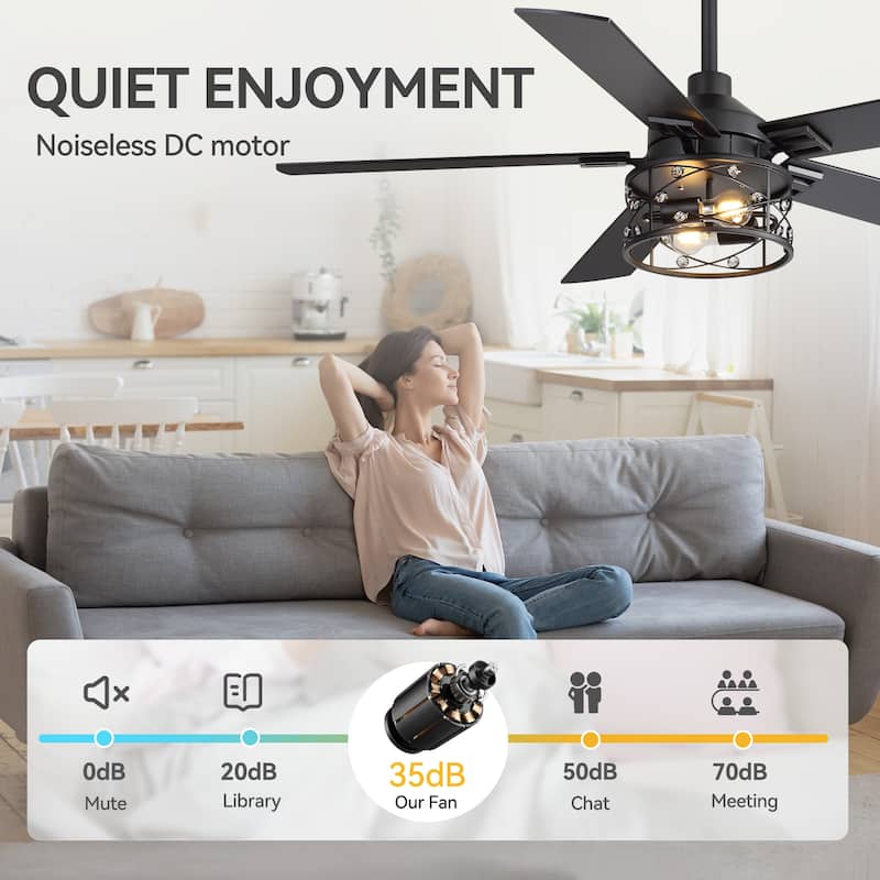 52-inch Reversible 5-Blade Caged Ceiling Fan with Remote and Light Kit