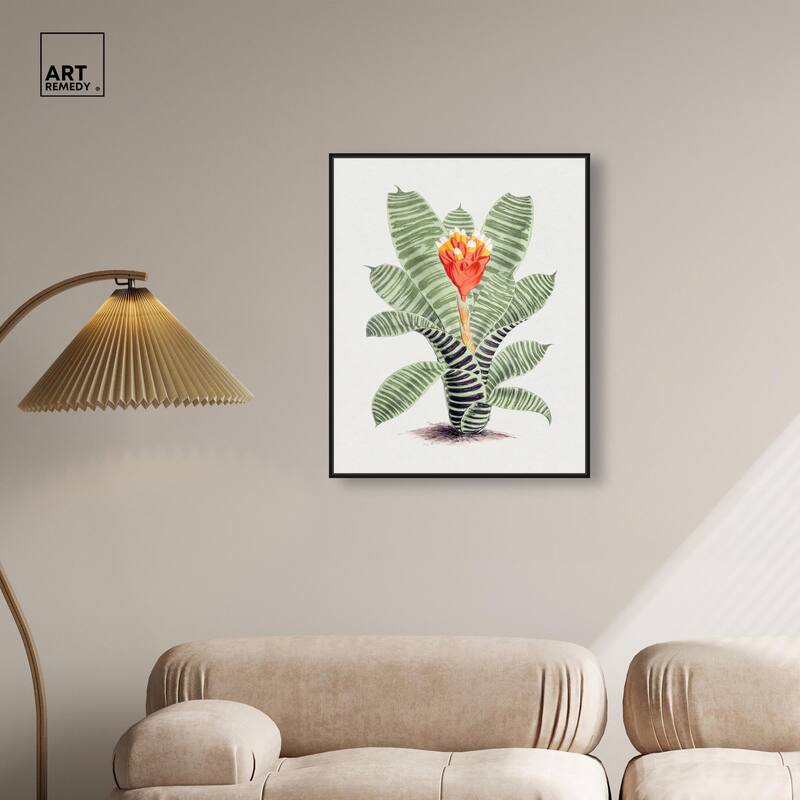 Tillandsia Musaica Plant Canvas by Art Remedy