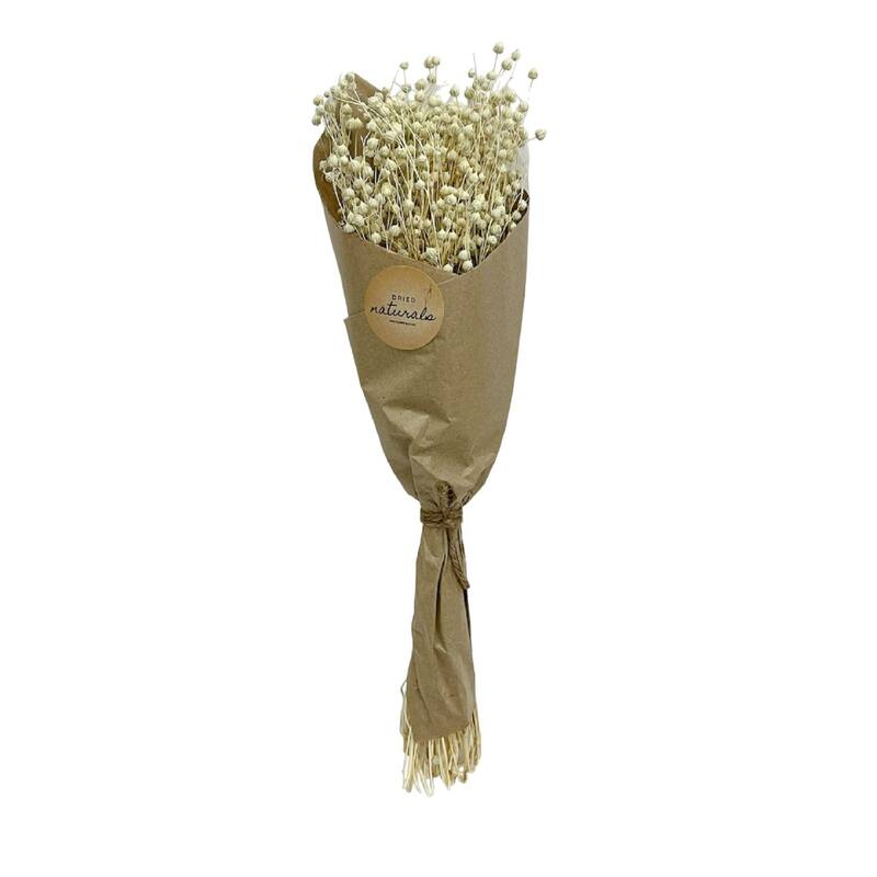 Teesi Grass Artificial Plant - 19.5" - Cream