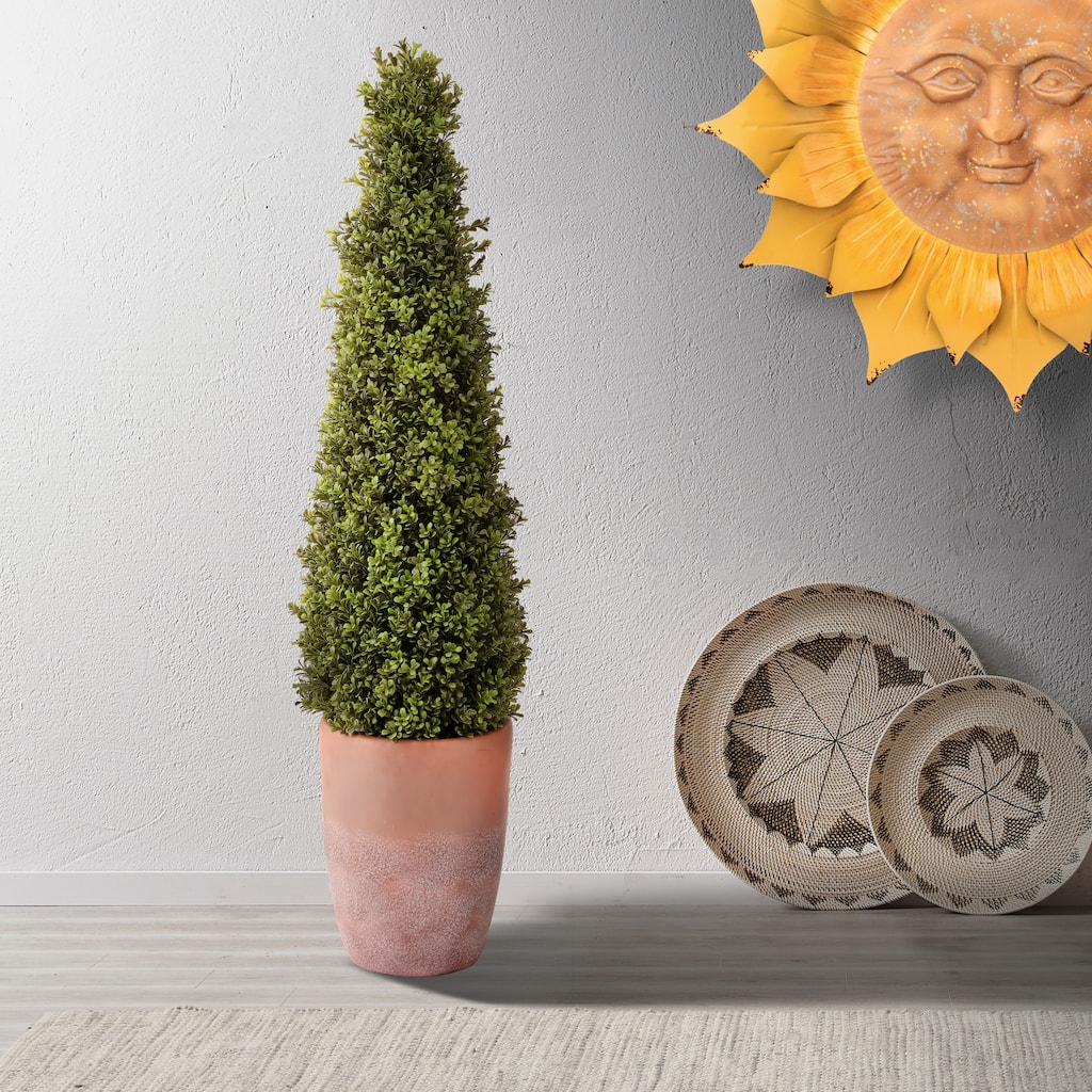 Spring Boxwood In Pot 48"