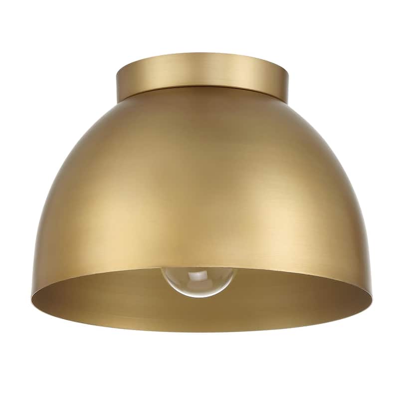 Hunter Erling 1 Light Medium Flush Mount Ceiling Light - Modern - Hallyway, Bathroom, Entry, Laundry Room - Damp Rated!