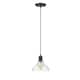 Option Black Pendant with Clear Glass