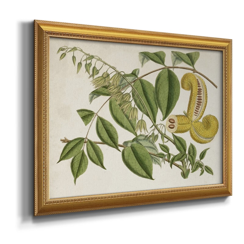 Tropical Foliage & Fruit I Premium Framed Canvas- Ready to Hang