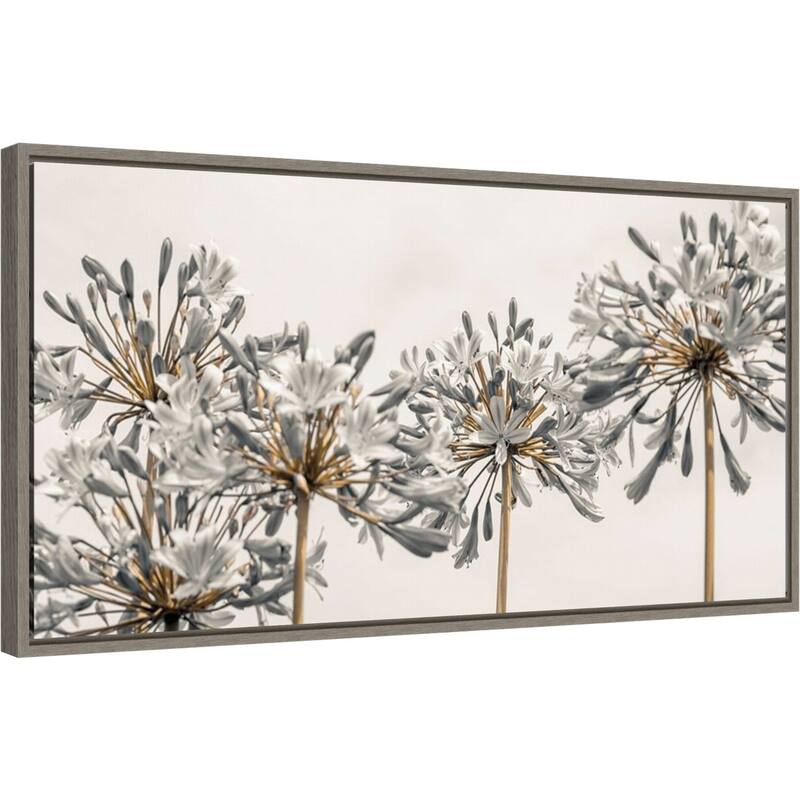 African Lily Flowers II by Assaf Frank (27 x 14 in.), Framed Canvas Wall Art Print - Sylvie Greywash