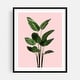 Bird of Paradise Plant on Pink Painting Minimal Art Print/Poster - Bed ...