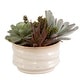preview thumbnail 4 of 4, Uttermost Mesa Succulent Accent - 10"W x 9"H x 10"D