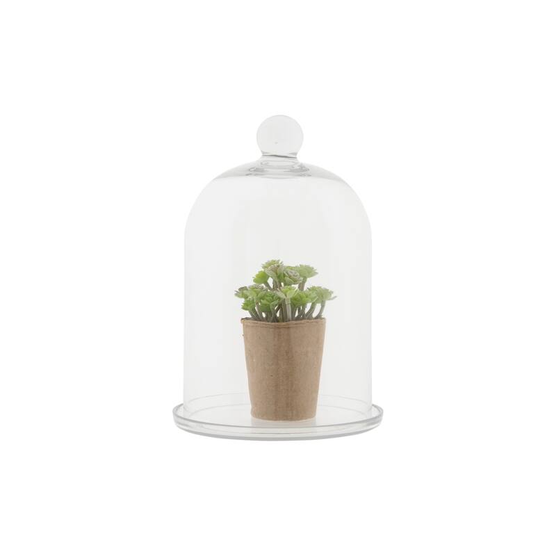 Glass Cloche with Clear Glass Plate (Set of 2 Pieces)