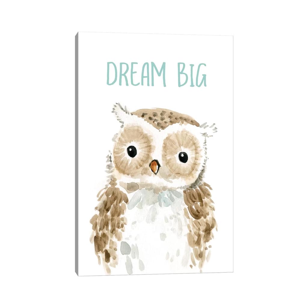 iCanvas "Dream Big Owl" by Carol Robinson Canvas Print