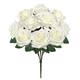 Option Cream White