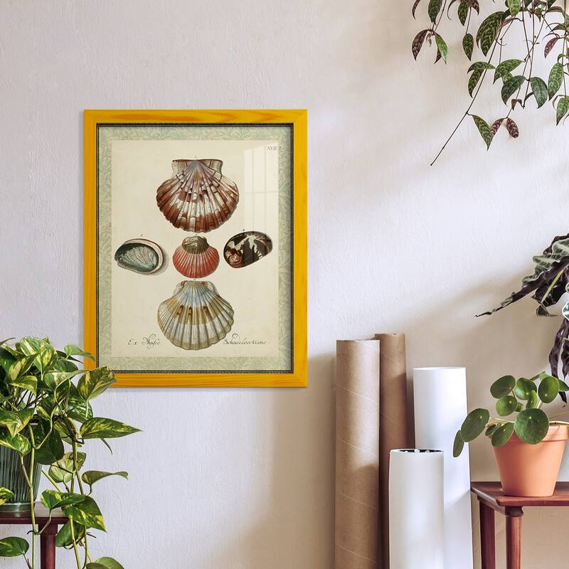 Bookplate Shells III -Framed Print w/glass-Cherry Red