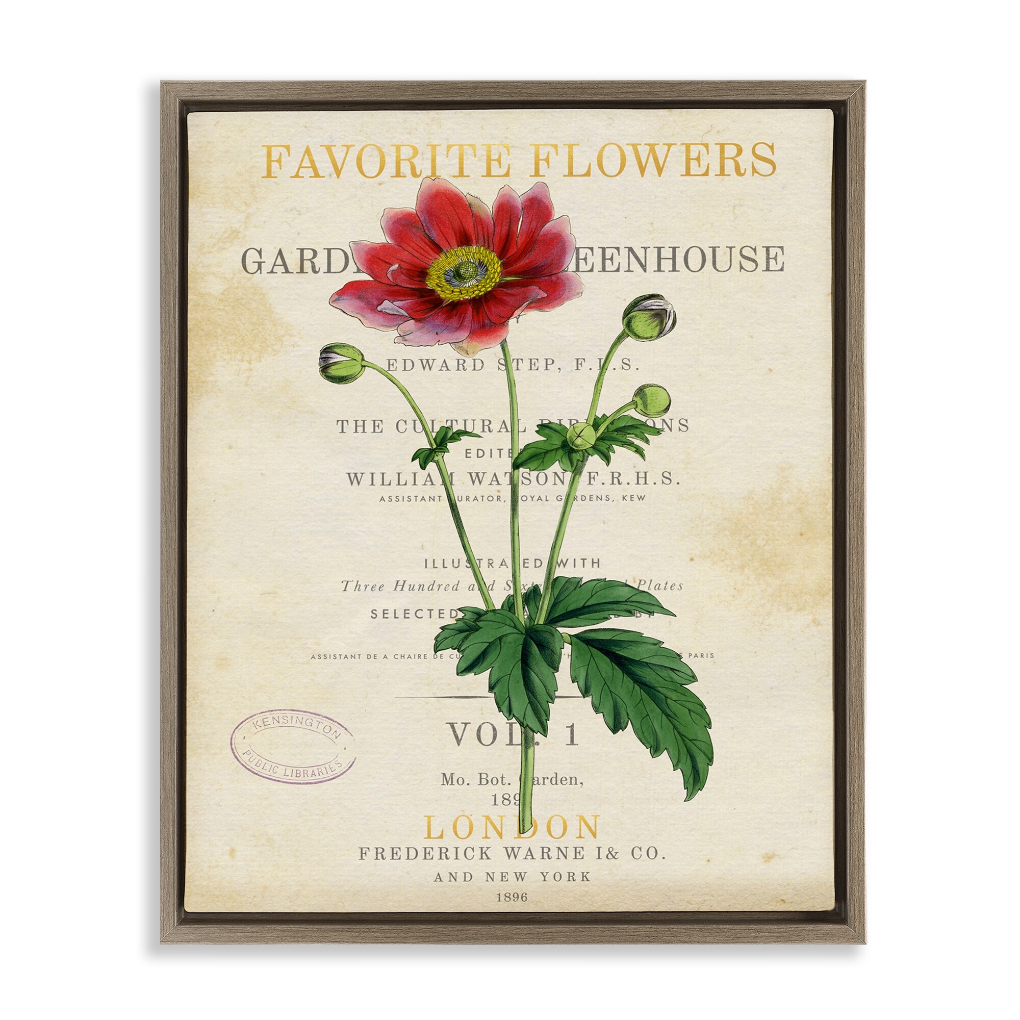 Stupell Garden Greenhouse Vintage Flower Framed Floater Canvas Wall Art Design By Susan Arnot
