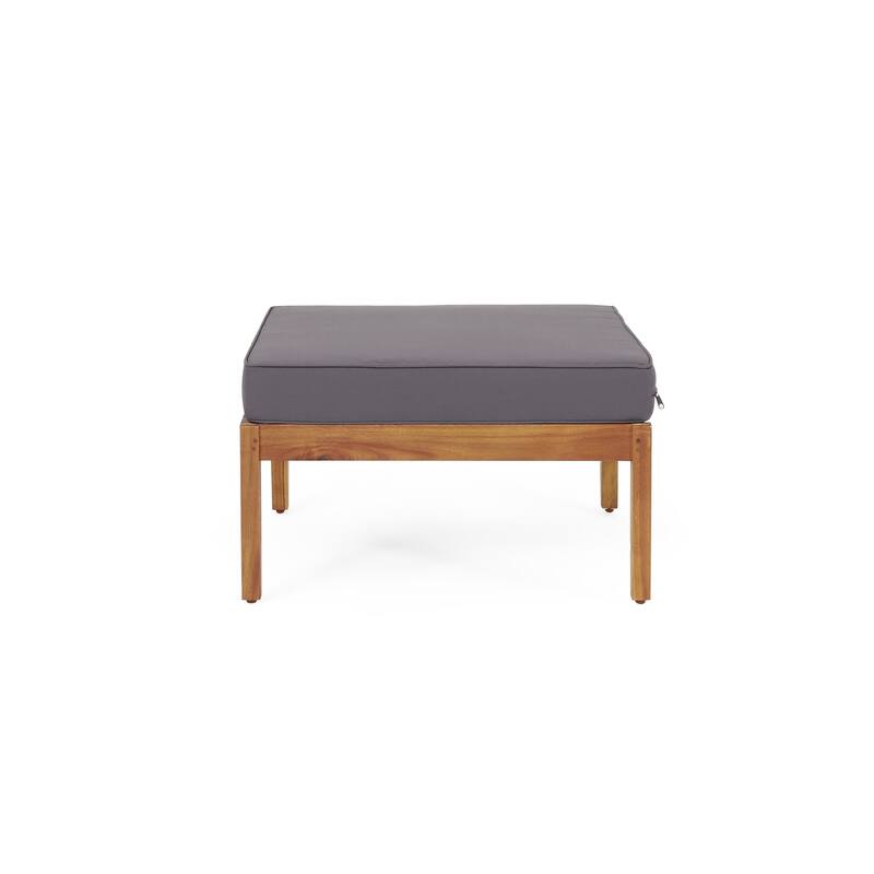2 Piece Mid-Century Modern Outdoor Set with Ottoman & Coffee Table
