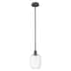 Option Clear / Oil Rubbed Bronze