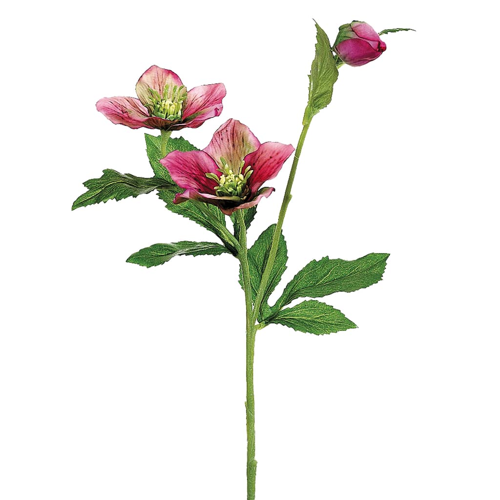 22" Pink Helleborus Artificial Decorative Spray