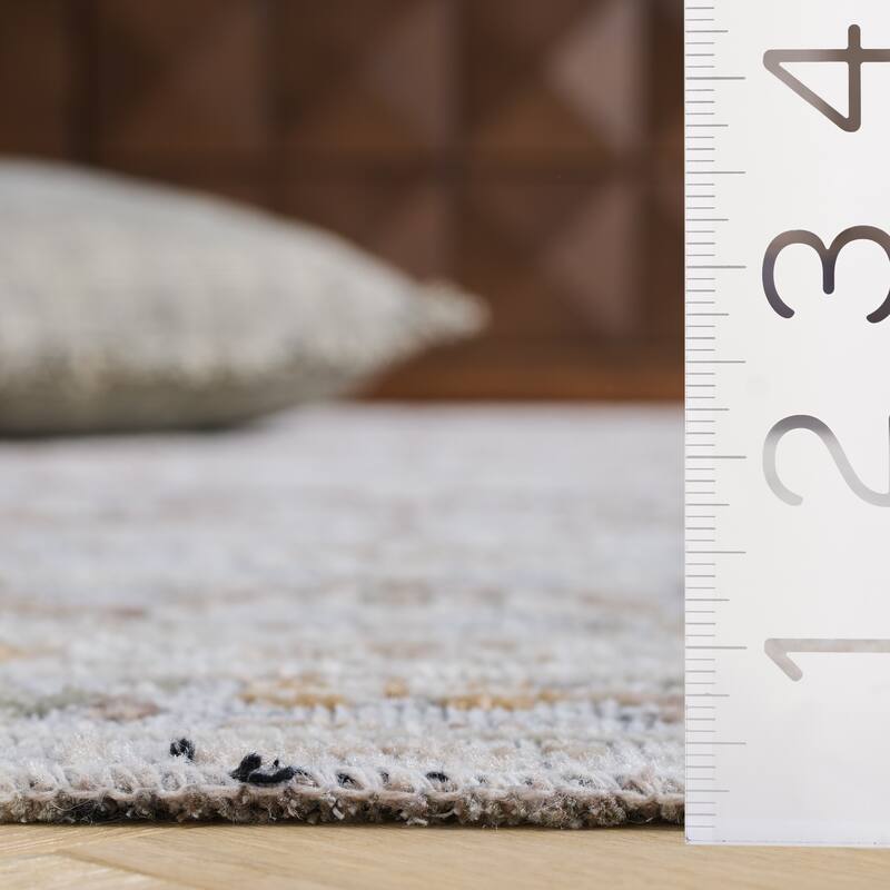 SAFAVIEH Miranda Haide Traditional Rug