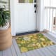Option Fern