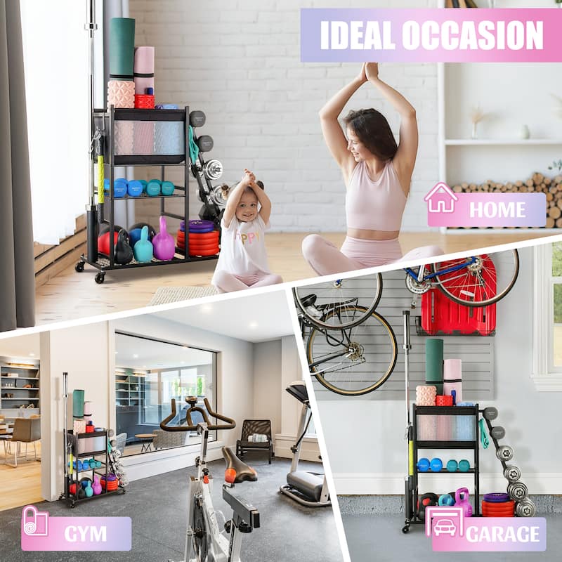 Sport Rack Dumbbell Rack Ball Organization and Storage