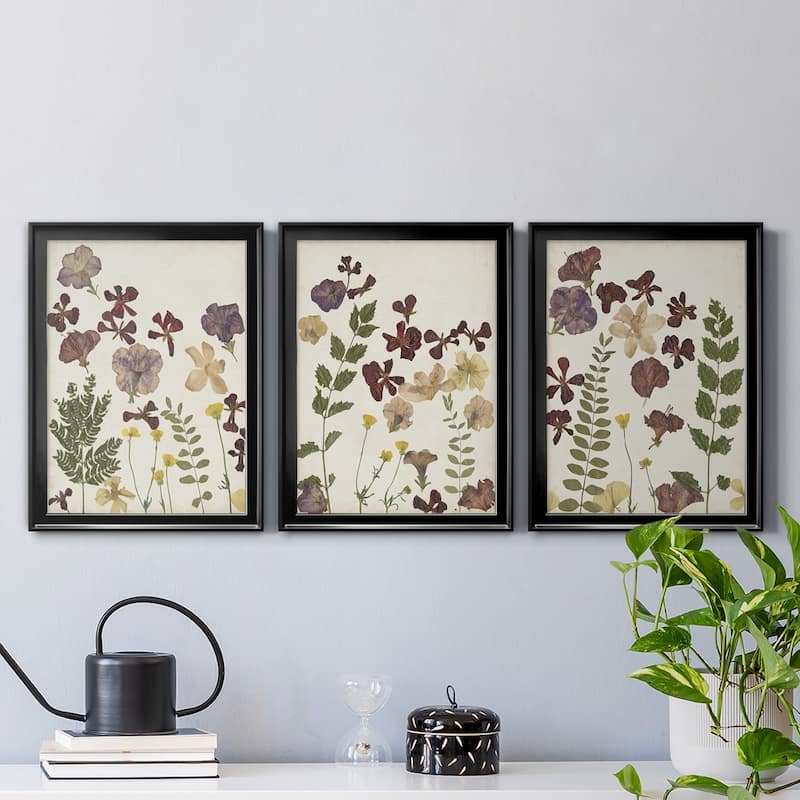 Pressed Flower Arrangement IV Premium Framed Canvas - Ready to Hang ...