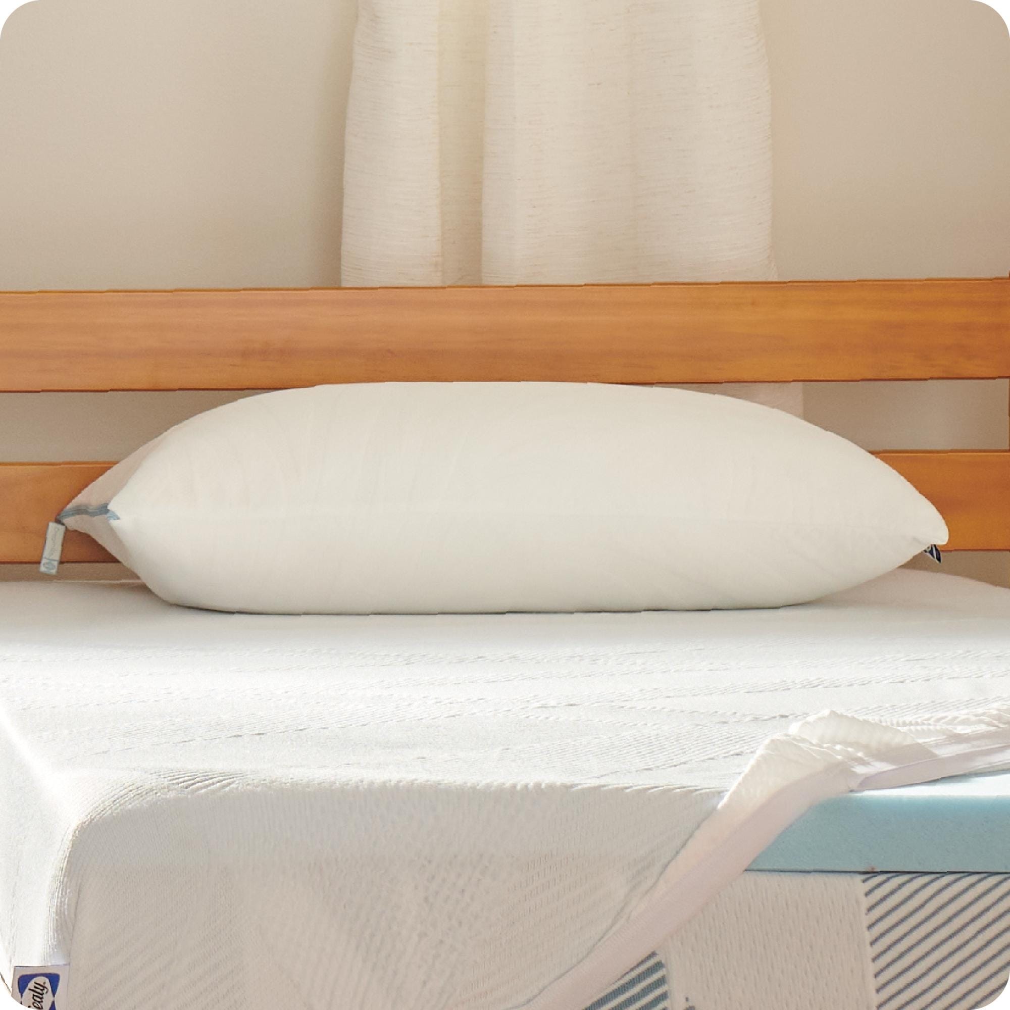Standard Size Sealy Bedding Bed Bath Beyond